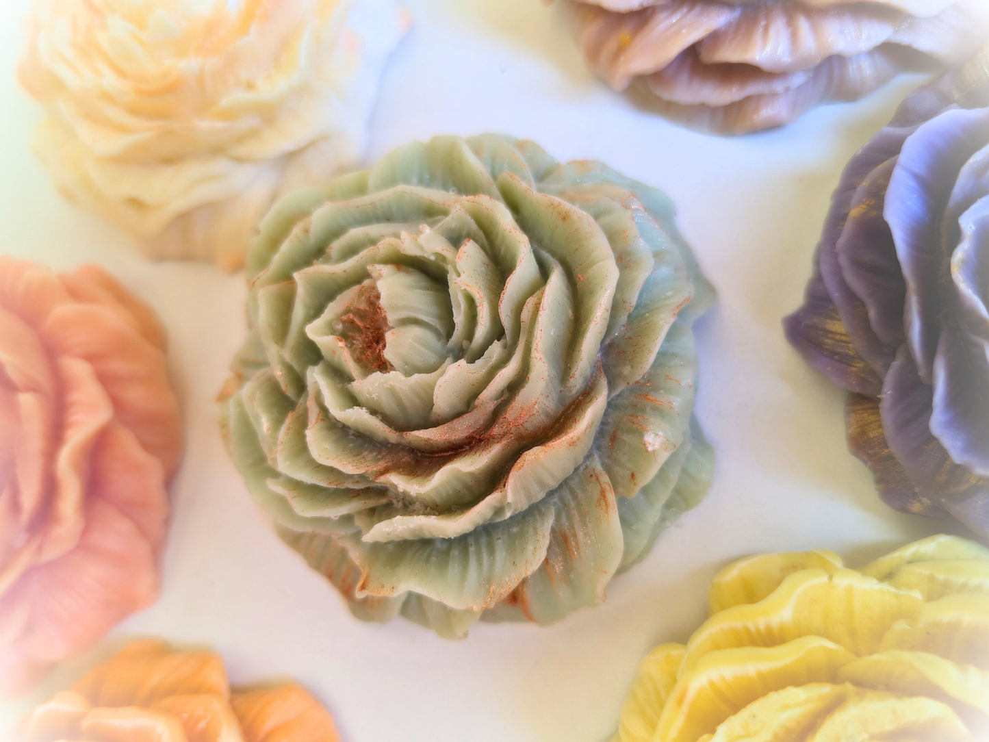 Holiday Special Wax flower freshener for closets and drawers – Limited Edition Scents for the Festive Season