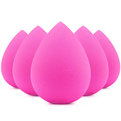 BEAKEY Makeup Sponge Set 5 Pack Micro Porous Low Absorption Soft Latex Free Foundation Beauty Sponges & Blenders for Powder Cream