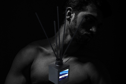 Bold & Masculine Reed Diffuser Collection – Sophisticated Scents with Obsidian, Currant, Wood & Smoke