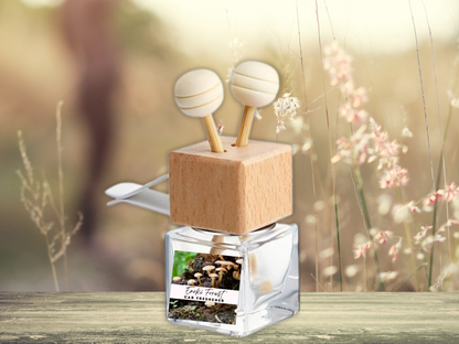 Bold & Masculine Car Diffuser Collection – Sophisticated Woods, Amber & Smoked Aromas