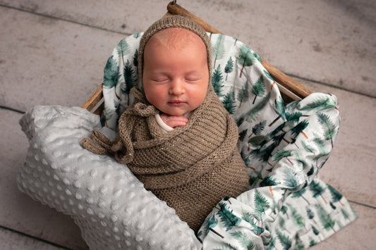 Woodland Whispers Minky Blanket for baby