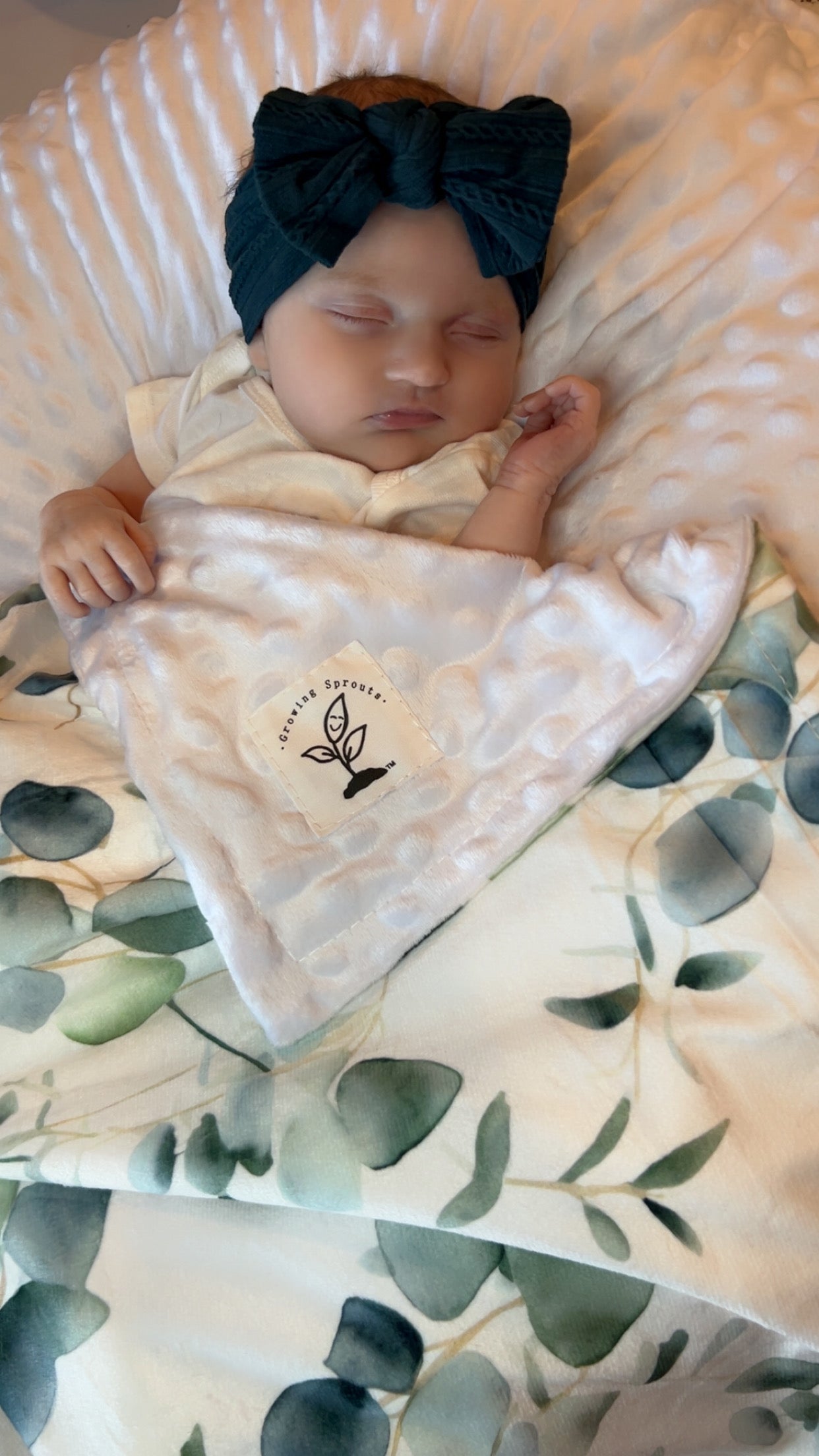 Eucalyptus Embrace Minky Blanket for baby